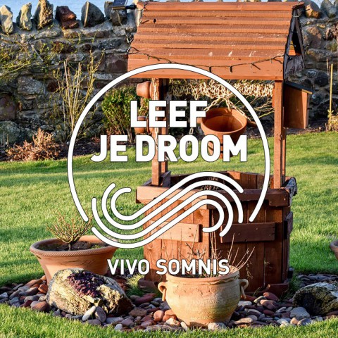 De Zin van Stilte en Meditatie