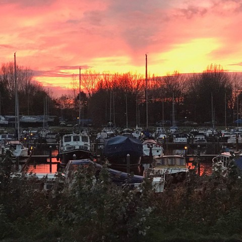 Weinig zon met enkele buien.