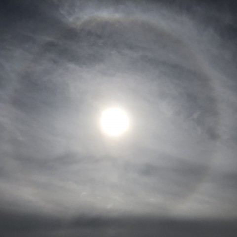Eerst zon, later toenemende bewolking met kans op een bui.