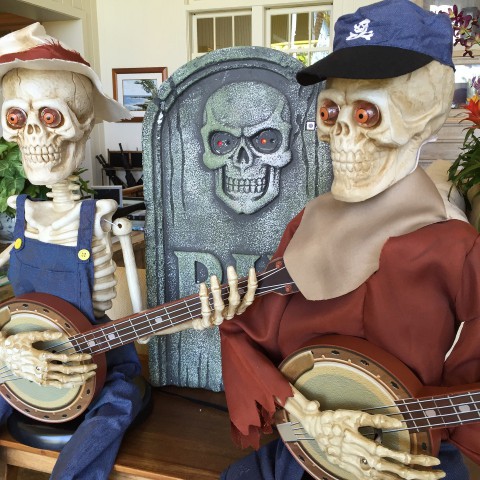 Vanavond is de Halloween Spookwandeling bij SEC
