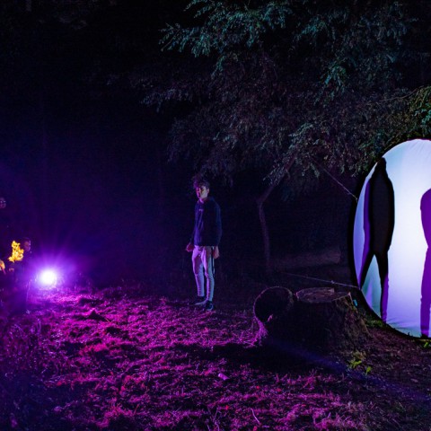 1100 bezoekers kijken omhoog tijdens de nacht van de nacht