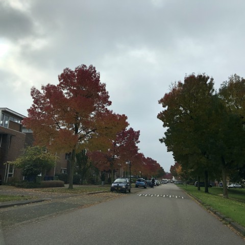 Rustig en licht wisselvallig herfstweer.