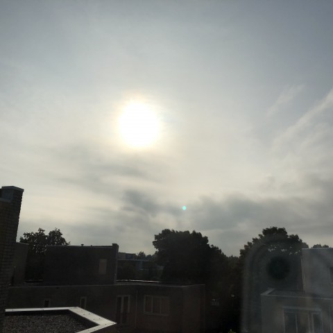 Af en toe zon, stevige wind.