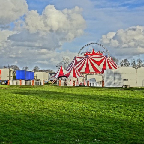 Circus komt met vele dieren naar Almere-haven!