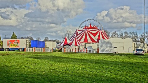 Circus komt met vele dieren naar Almere-haven!
