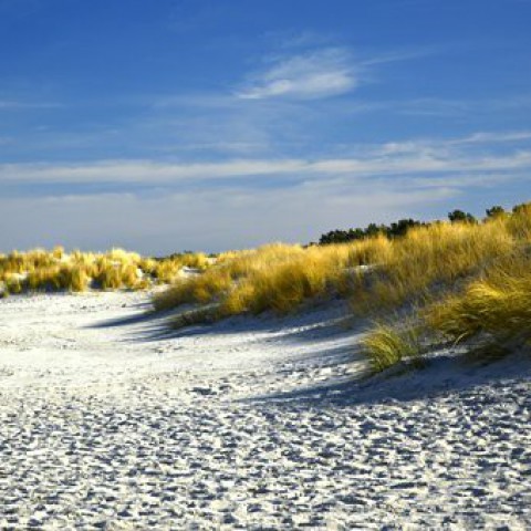 Vakantiehuisjes op de Marker Wadden 