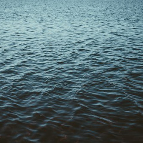 Almere op Scherp: Waterlanders 