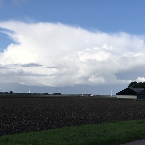 Wisselend bewolkt met geregeld buien.