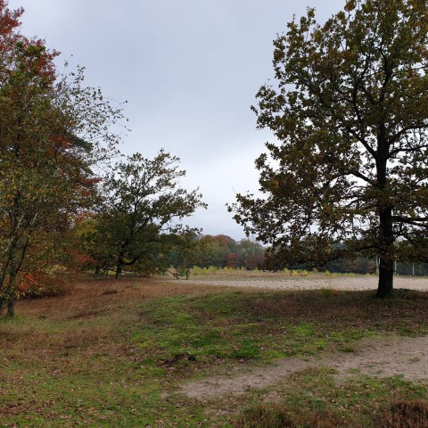 Af en toe wat zon met kans op een bui.