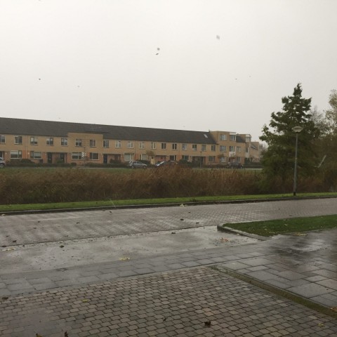 Klassiek herfstweer.