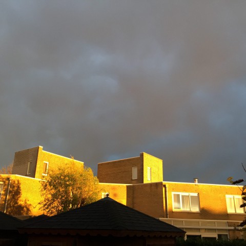 Soms wat zon met een enkele bui.