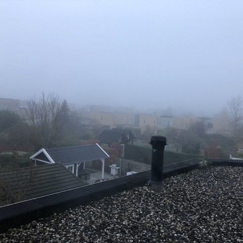 Mistig