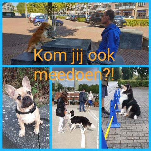 Kom jij ook meedoen?