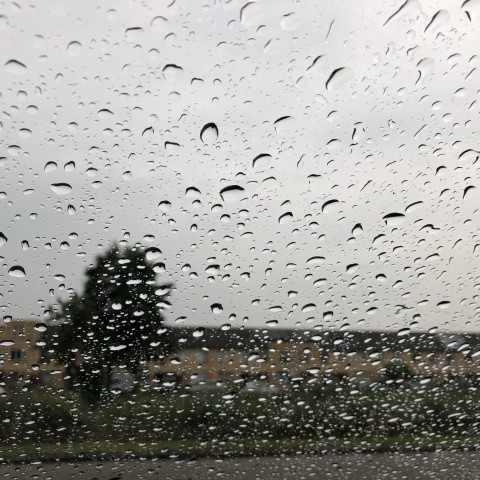Vanuit het westen perioden met regen.