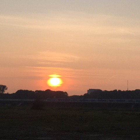 Vrij koud met zon en sluierwolken