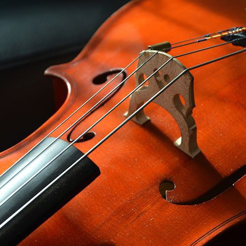 Internationale Cello Dag