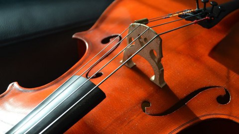 Internationale Cello Dag