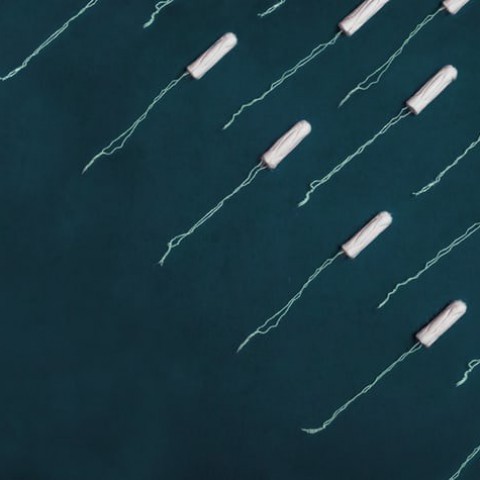 Voor 4000 euro aan tampons en maandverband ingezameld