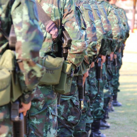 FvD wil mariniers naar Flevoland halen 