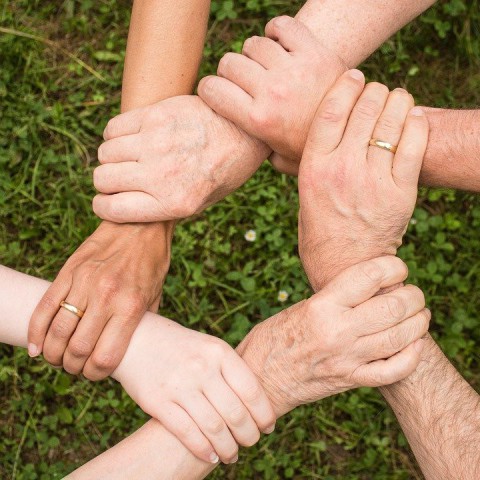 Steeds meer Flevolandse bewoners wekken samen stroom op
