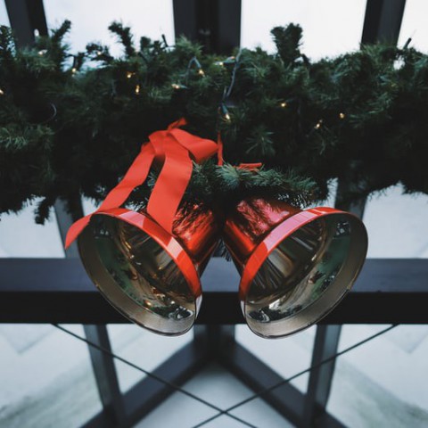 Mistletoe