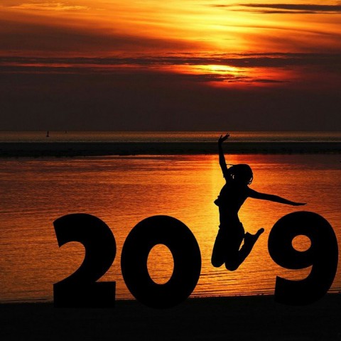 2019 was het jaar van; Papapapapa, warmterecord en repen chocola 