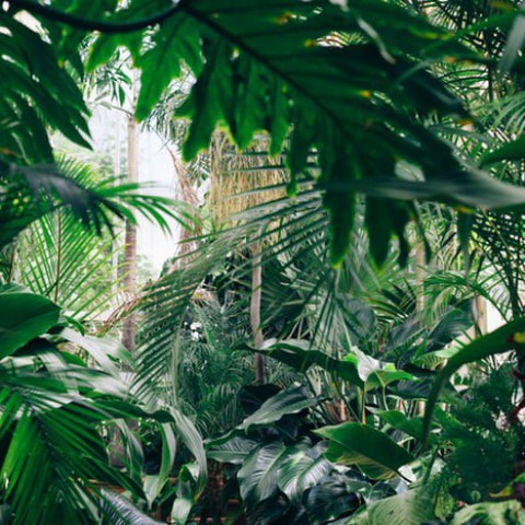 Terugblik: van WitchWorld naar Almere Jungle