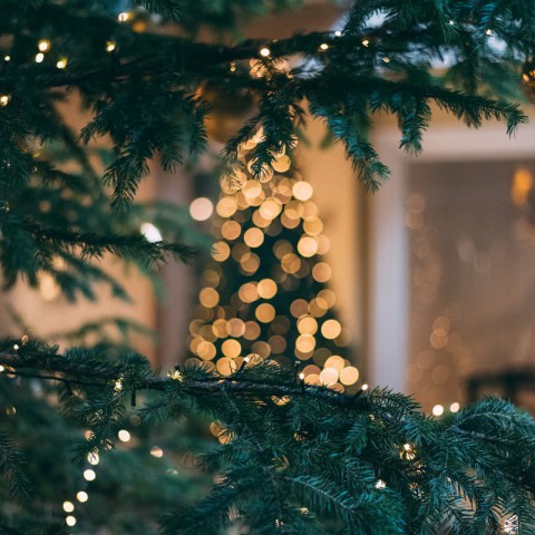 Tweede Kerstdag