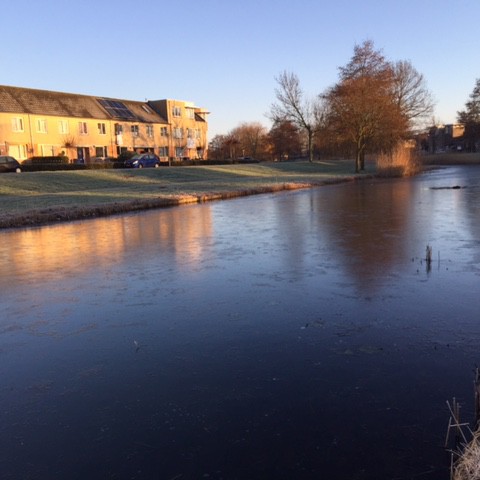 Licht winters met zonnige perioden
