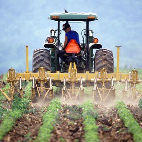 Boeren voeren actie voor eerlijker prijzen