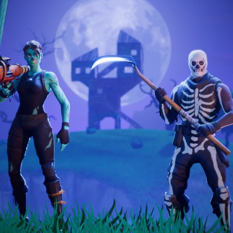 FIFA20 en Fortnite voor 'De Eigenwijsjes'
