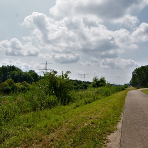Publiek bijgepraat over beleid Oostvaardersplassen 