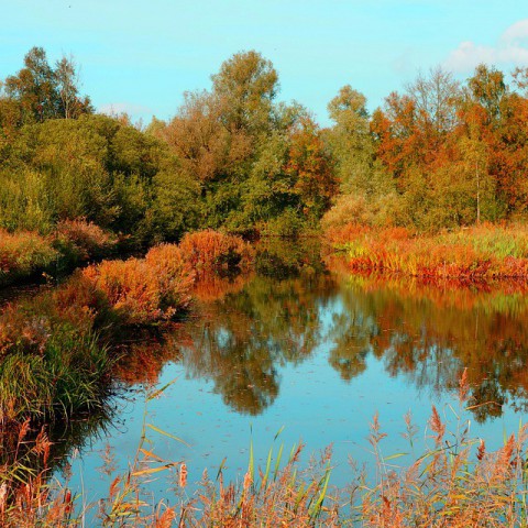 Gemeente Almere nomineert Staatsbosbeheer voor Participatiepenning 2019