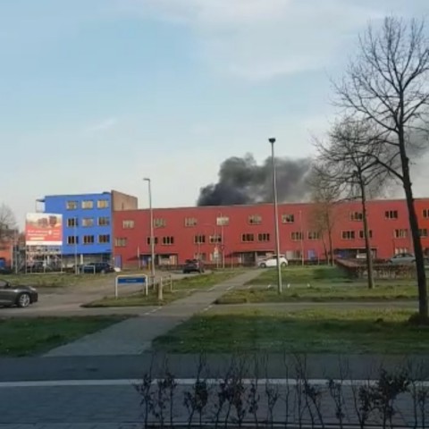 Grote brand in een schuur in Regenboogbuurt