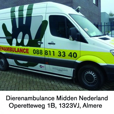 46e tegel Almeerse Walk of Fame voor 25 jarig bestaan Dierenambulance