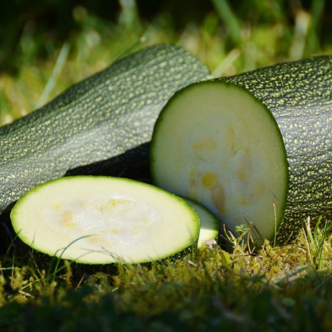 ‘Killer courgette’ in moestuinen