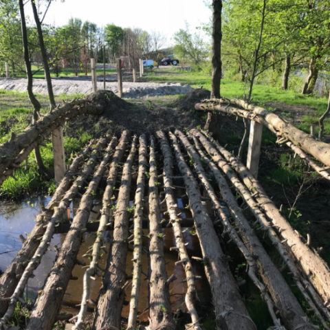 Levende brug op Floriade 2022 groeit gestaag door