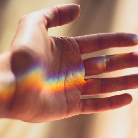 Gemeente heeft gisteren de regenboogvlag en transgendervlag gehesen