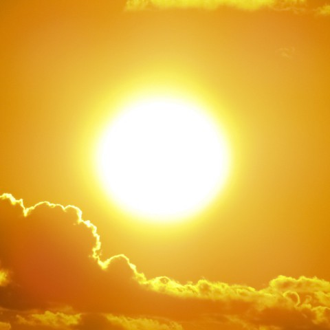 Morgen landelijke zonnekijkdag en wilde weetjes