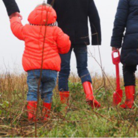 Ministerie heeft zich bemoeid met onderzoek kindertoeslag Belastingdienst