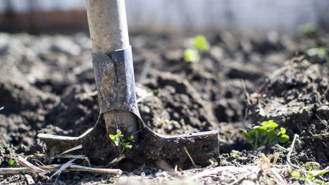LTO Noord: 'Miljardenplan vergroening landbouw gaat niet werken'
