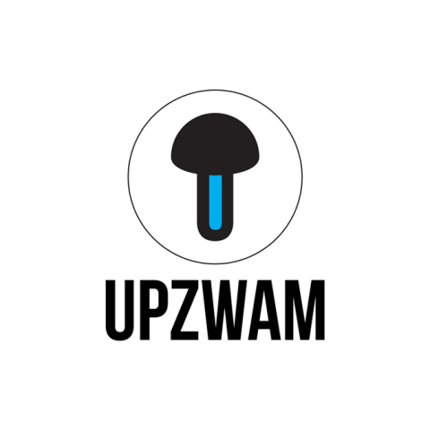 Upzwam is trotse sponsor van Ons Almere tijdens de MAIN Energie Business Challenge!