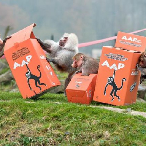 Stichting AAP blijft cartridges en mobieltjes inzamelen!