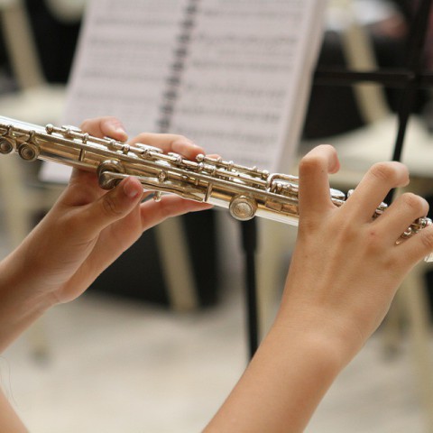 Nieuw FlevoEnsemble oefent voor première
