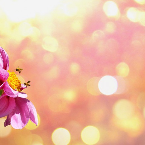 Lente weer in aantocht!