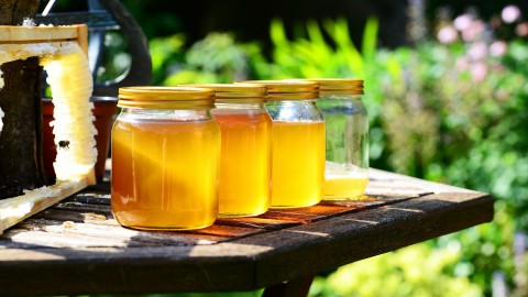 Honing gemaakt door Almeerse bijen