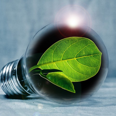 NVM: Duur nieuw energielabel draagt niet direct bij aan verduurzaming