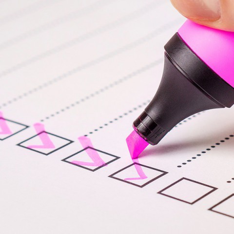 '70% Flevolanders is van plan te stemmen'
