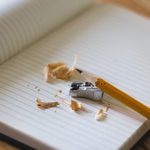 Vandaag, 30 januari, is de tweedaagse schoolstaking van start gegaan