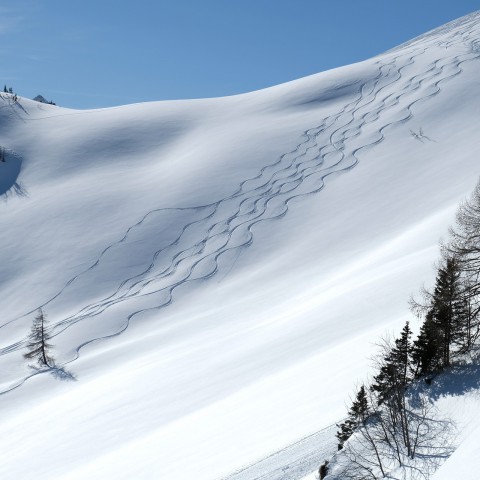 Derks wint twee keer zilver bij NK skien